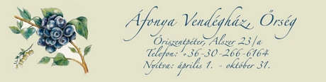 fonya Vendghz - riszentpter